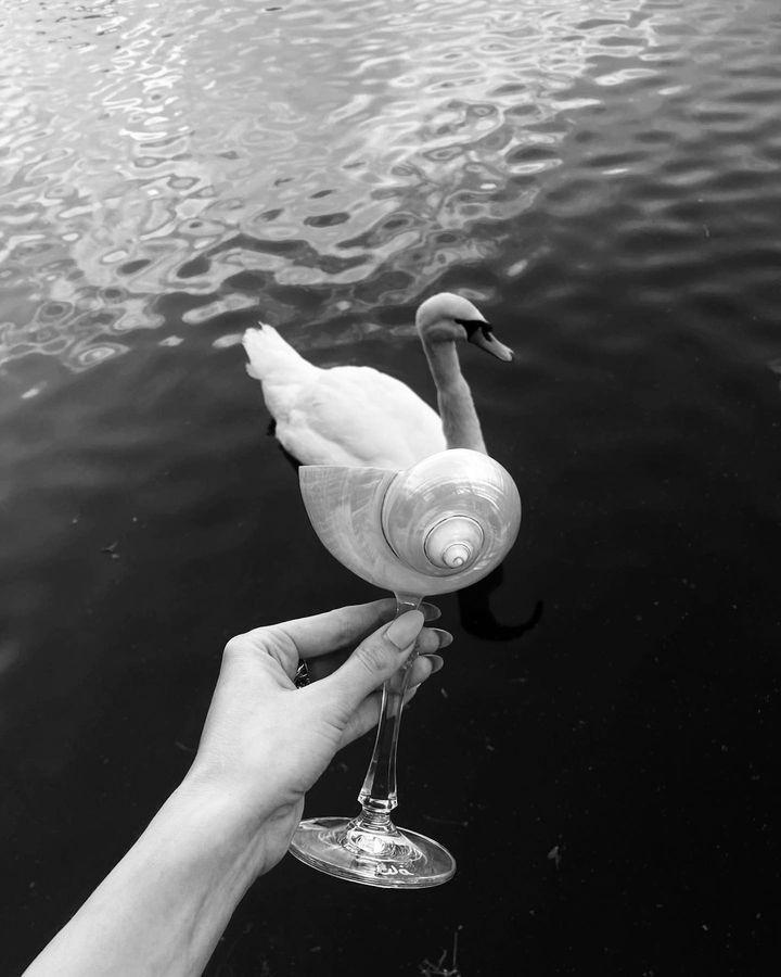 На Патриарших прудах