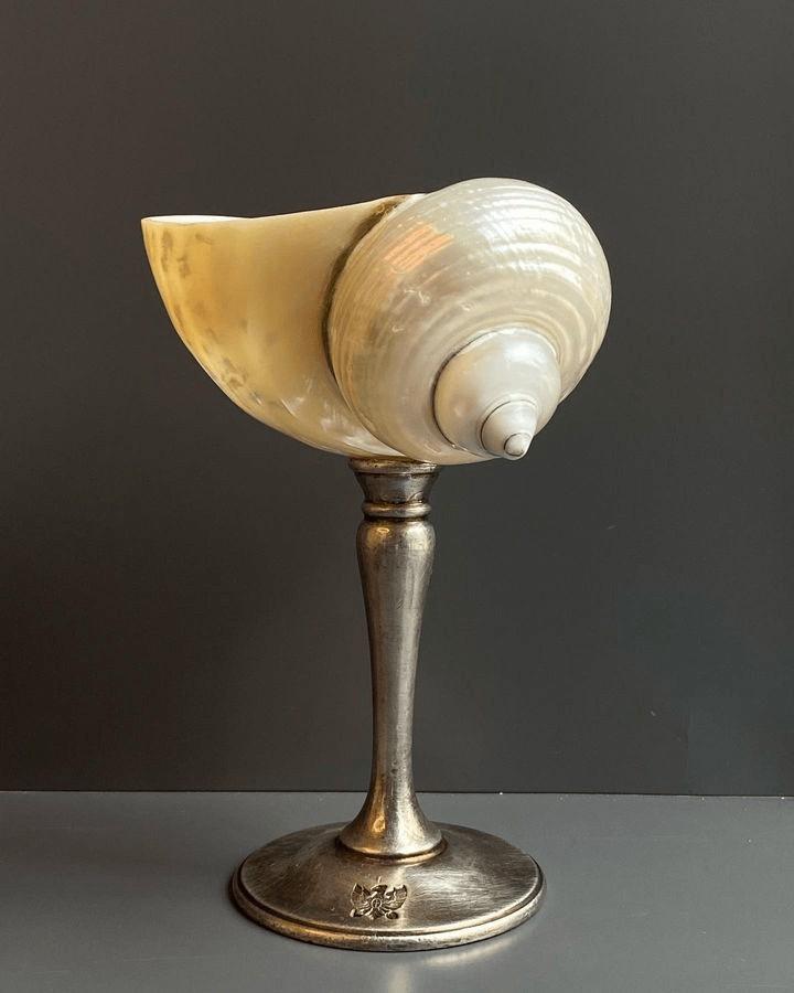 Дореволюционное серебро и раковина в размере MISTERBIG