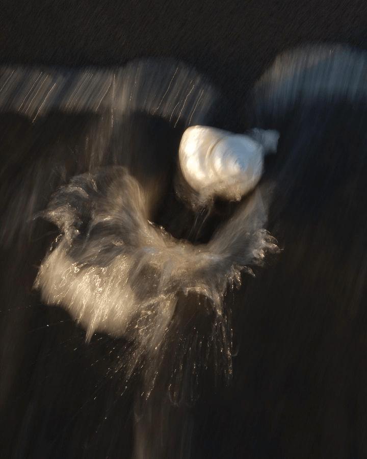 Mermaidcore Mermaidcore