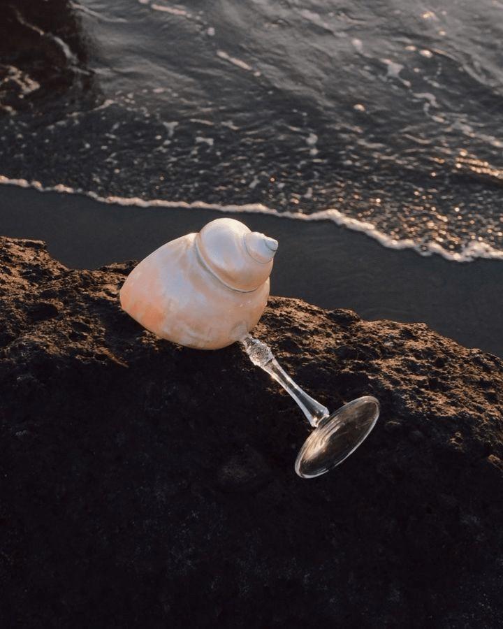 Слышишь шум моря? Слышишь шум моря?