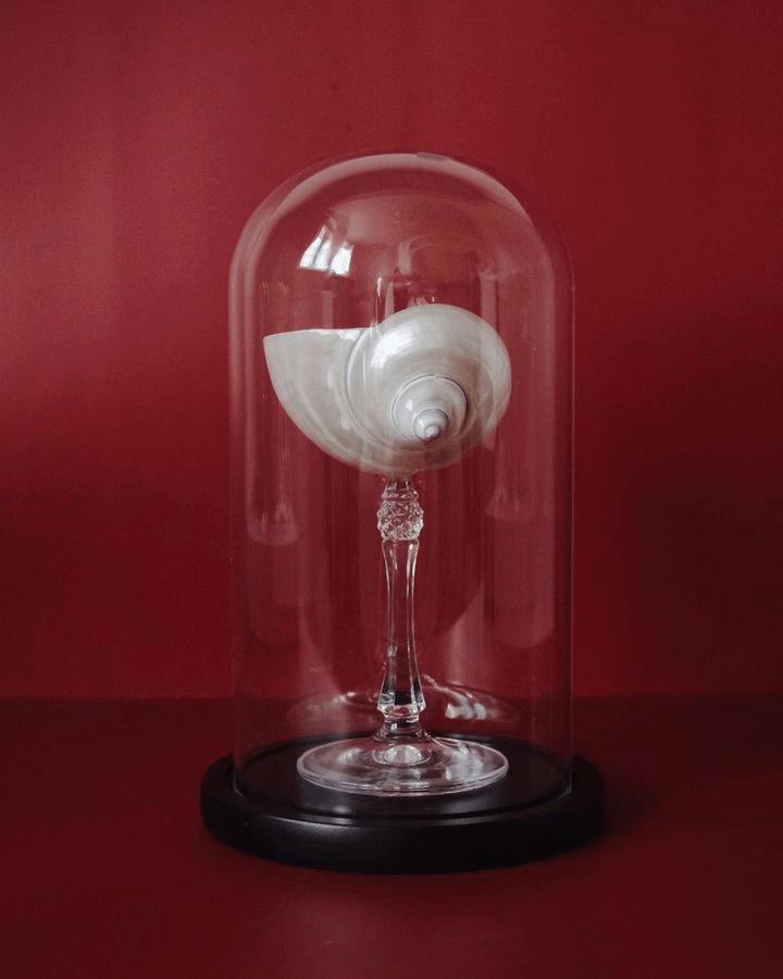 Необычные предметы интерьера