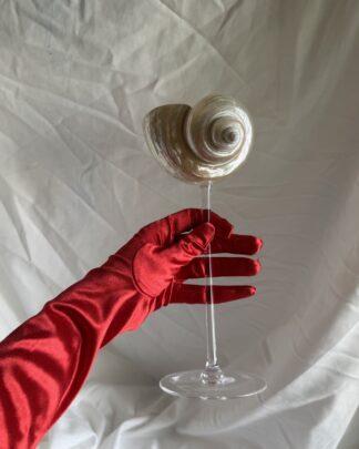 Long story - бокал из перламутровой ракушки на высокой ножке