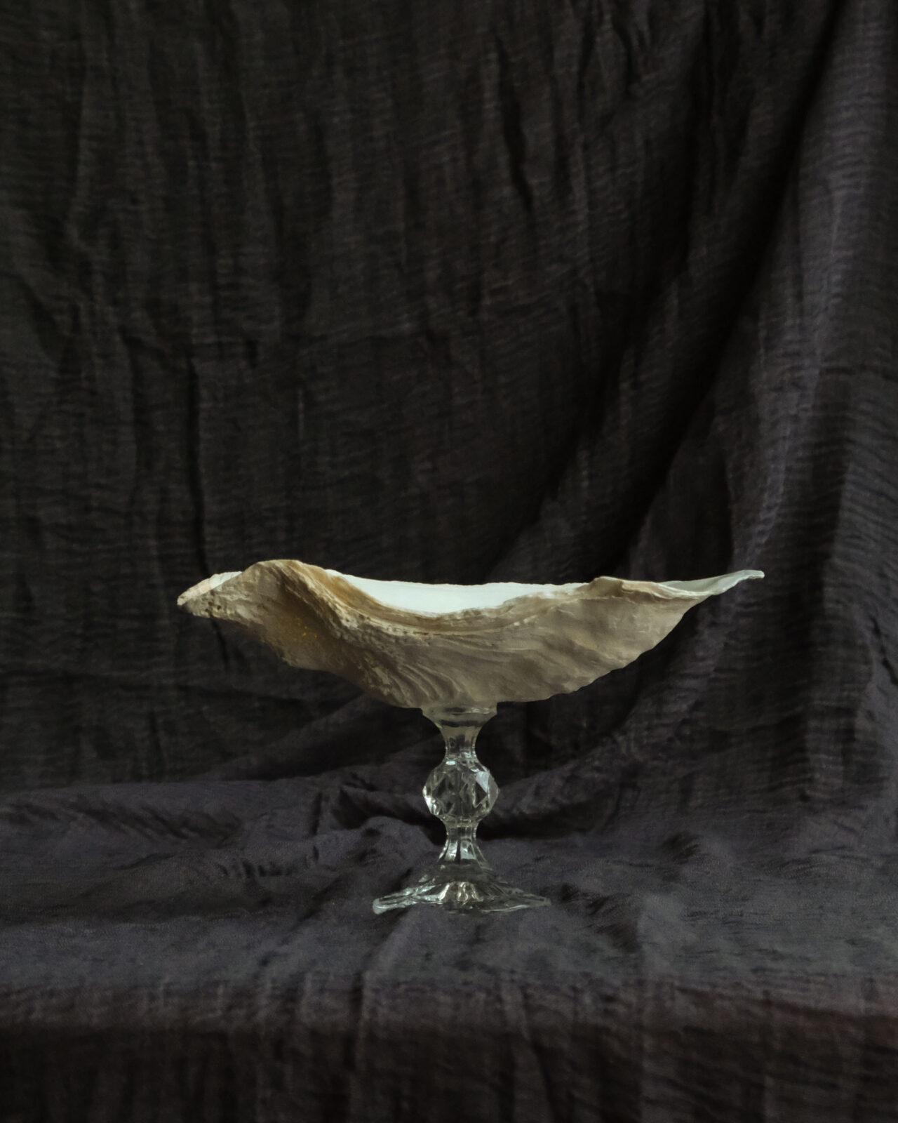 Monro - большая креманка из ракушки устрицы Monro - большая креманка из ракушки устрицы — изображение 8