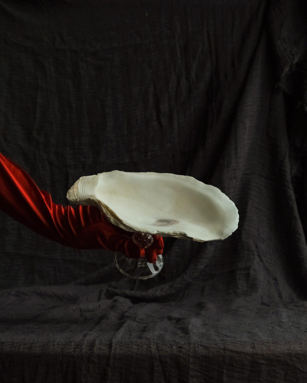 Monro - большая креманка из ракушки устрицы Monro - большая креманка из ракушки устрицы — изображение 5