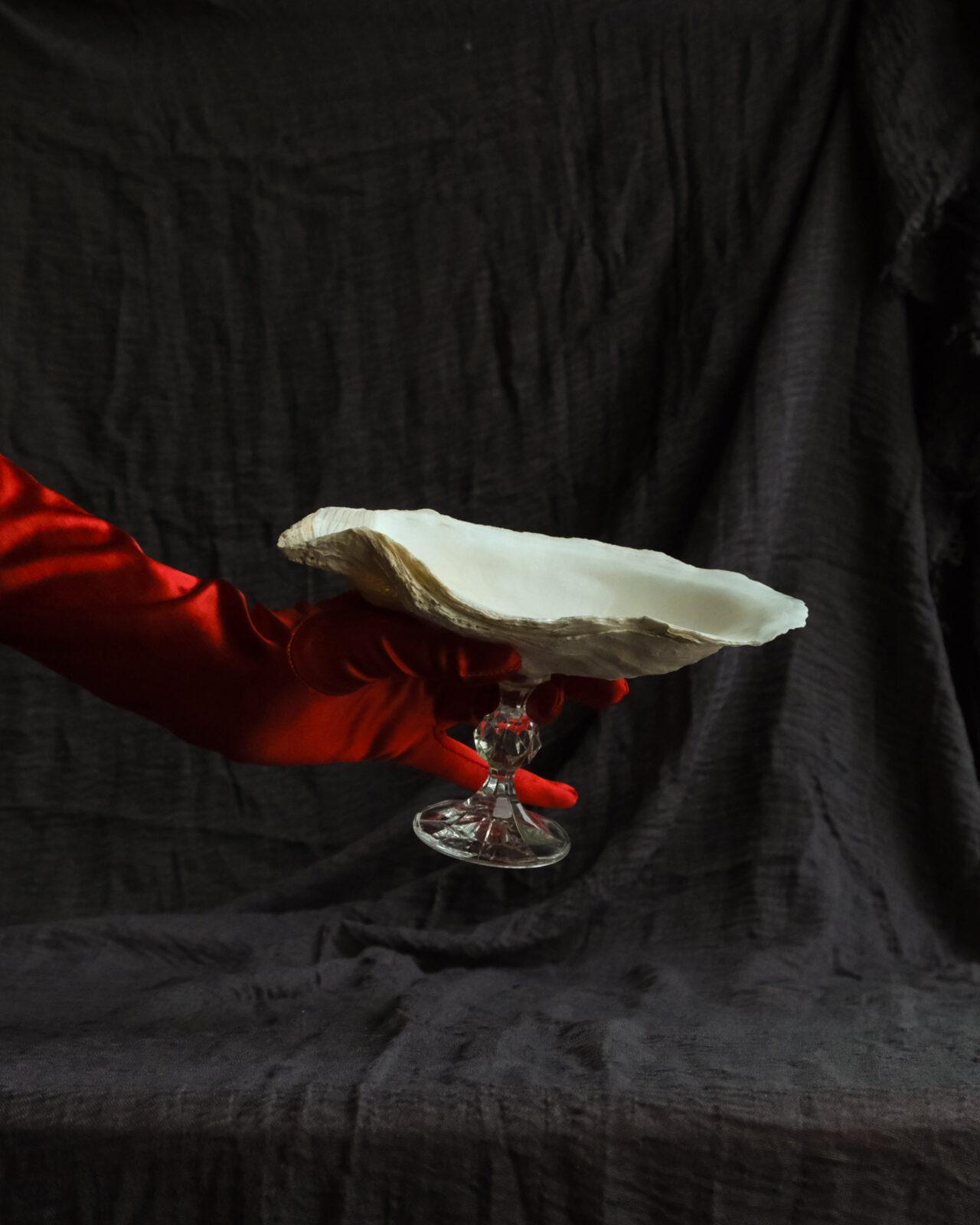 Monro - большая креманка из ракушки устрицы Monro - большая креманка из ракушки устрицы — изображение 4