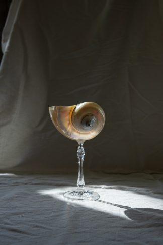 Mister Big - большой бокал из перламутровой ракушки