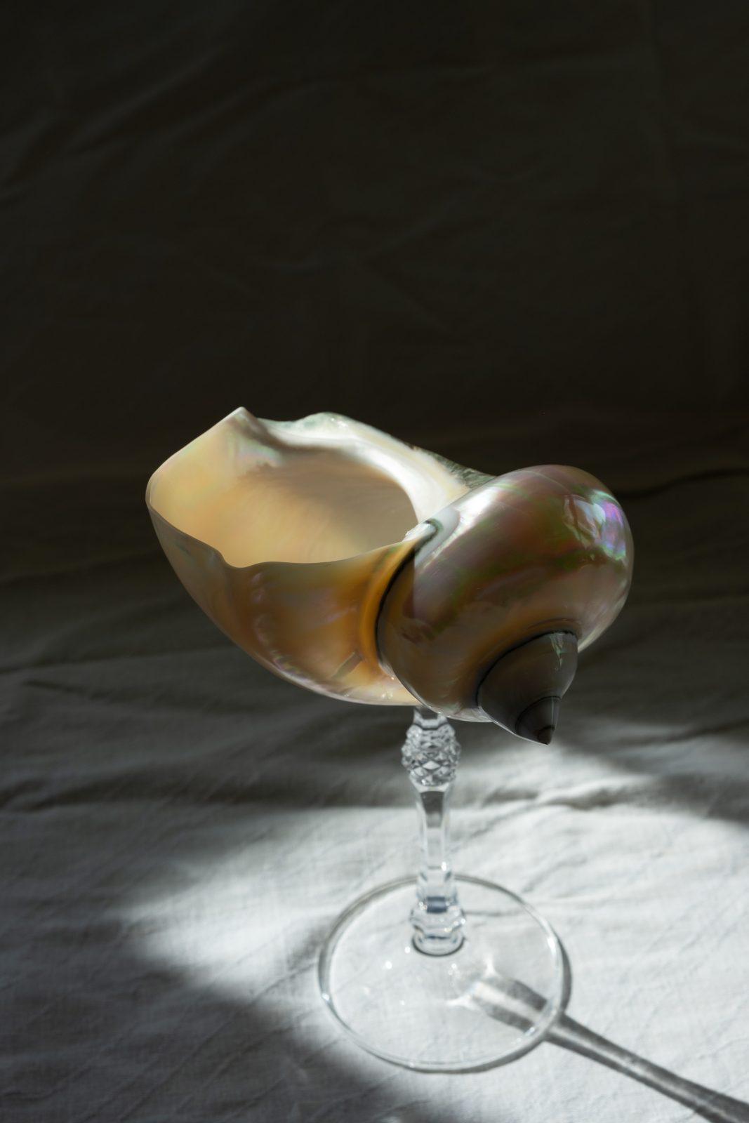 Mister Big - большой бокал из перламутровой ракушки Mister Big - большой бокал из перламутровой ракушки — изображение 2