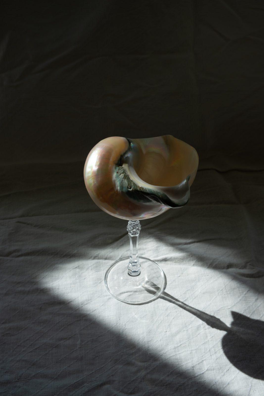 Mister Big - большой бокал из перламутровой ракушки Mister Big - большой бокал из перламутровой ракушки — изображение 5