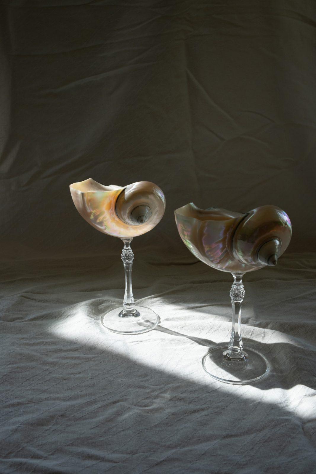 Mister Big - большой бокал из перламутровой ракушки Mister Big - большой бокал из перламутровой ракушки — изображение 6