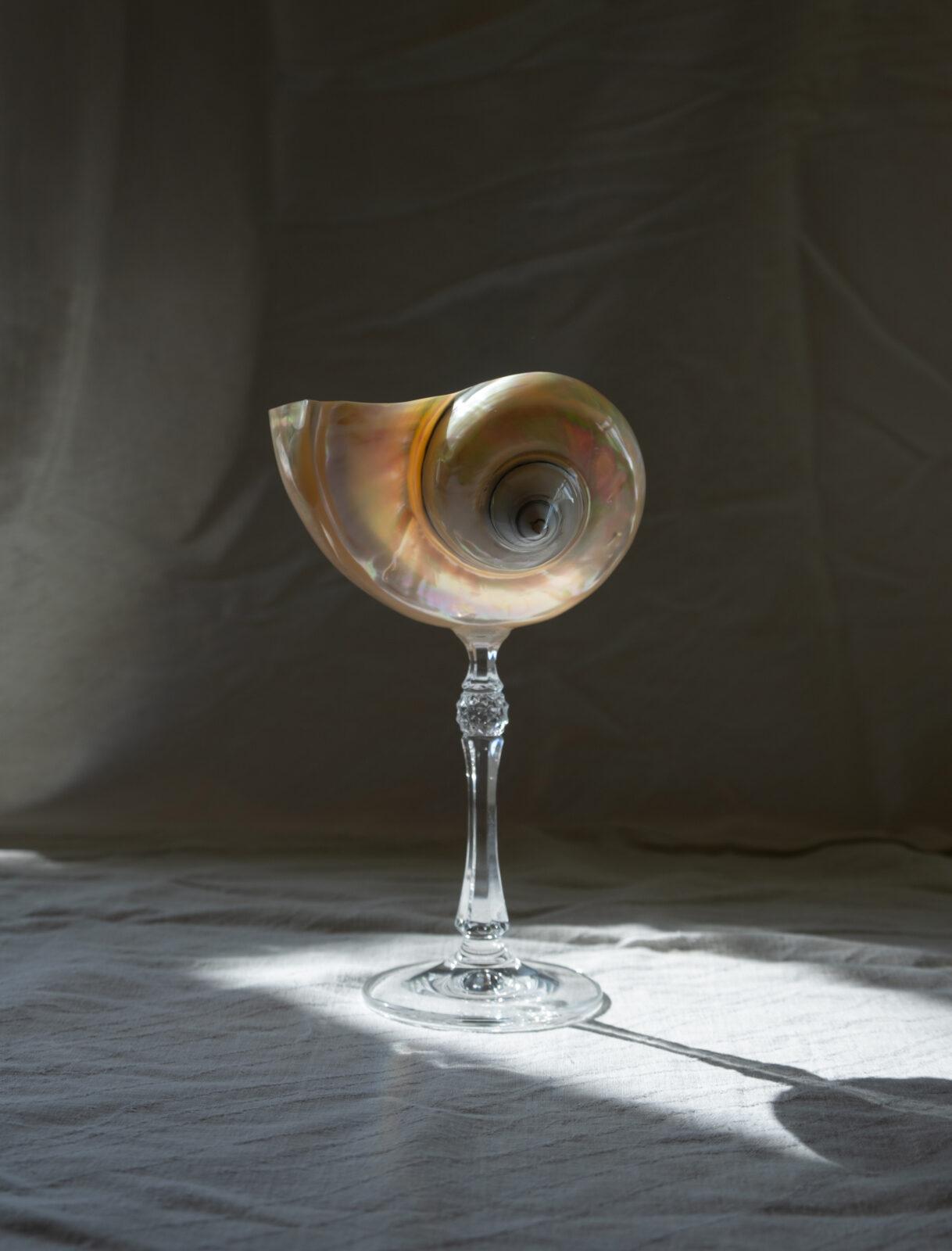 MISTER BIG - большой бокал из перламутровой ракушки MISTER BIG - большой бокал из перламутровой ракушки — изображение 2