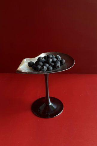 Ракушка - затмение