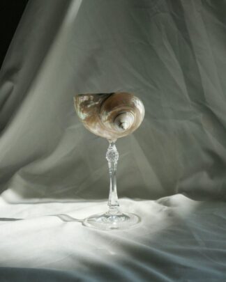 Nature design - бокал из перламутровой ракушки