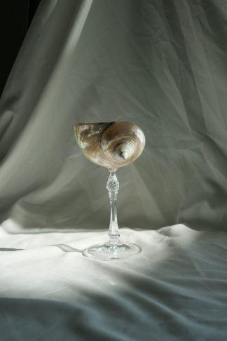 Nature design - бокал из перламутровой ракушки