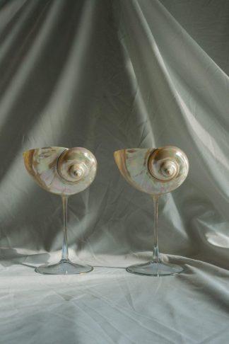 Sparkle Base - бокал из перламутровой ракушки