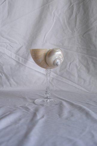 Mini EVA - бокал из перламутровой ракушки на хрустальной ножке Mini EVA - бокал из перламутровой ракушки на хрустальной ножке