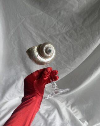 Mini EVA - бокал из ракушки на хрустальной ножке Mini EVA - бокал из ракушки на хрустальной ножке