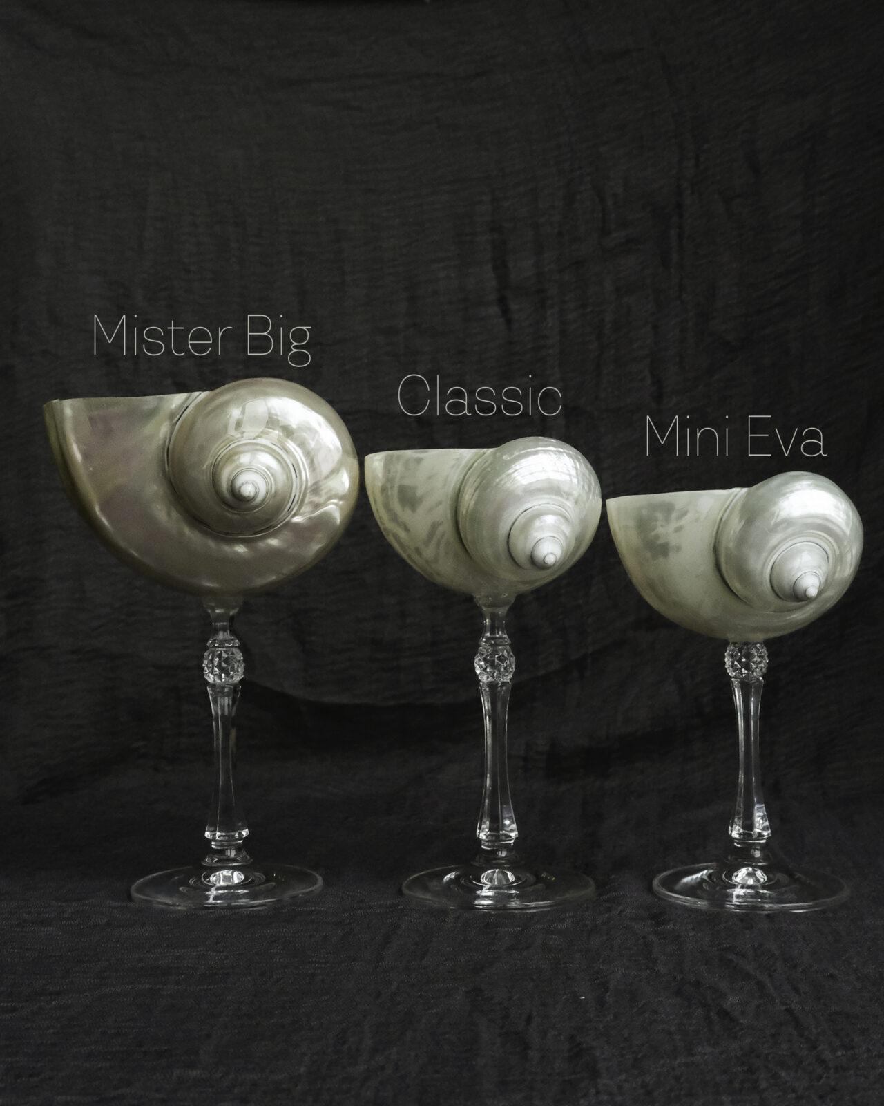 Mini EVA - бокал из ракушки на хрустальной ножке MISTER BIG - большой бокал из перламутровой ракушки — изображение 11