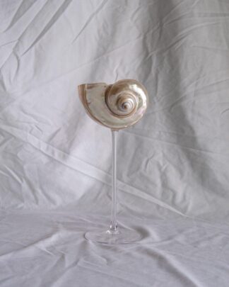 Long story - бокал из перламутровой ракушки на высокой ножке Long story - бокал из перламутровой ракушки на высокой ножке