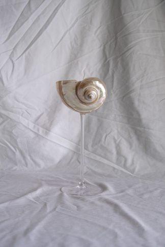 Long story - бокал из перламутровой ракушки на высокой ножке Long story - бокал из перламутровой ракушки на высокой ножке