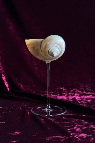 Perla tonkaya - бокал из перламутровой ракушки на тонкой ножке