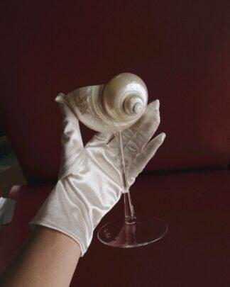 Perla tonkaya - бокал из перламутровой ракушки на тонкой ножке
