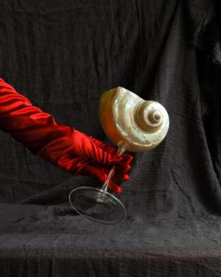 GEDONISM - большой бокал из ракушки GEDONISM - большой бокал из ракушки