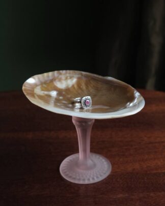 Хранительница жемчуга Rose Хранительница жемчуга Rose