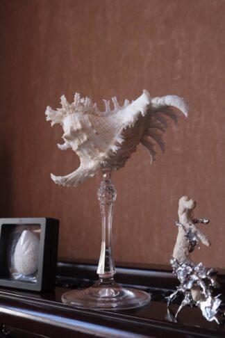 Бокал White Rose