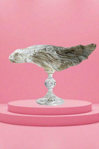 Креманка из ракушки устрицы на низкой стеклянной ножке